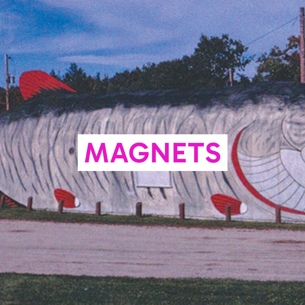 MAGNETS