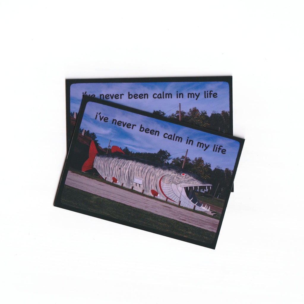 i've never been calm in my life - Fridge Magnet
